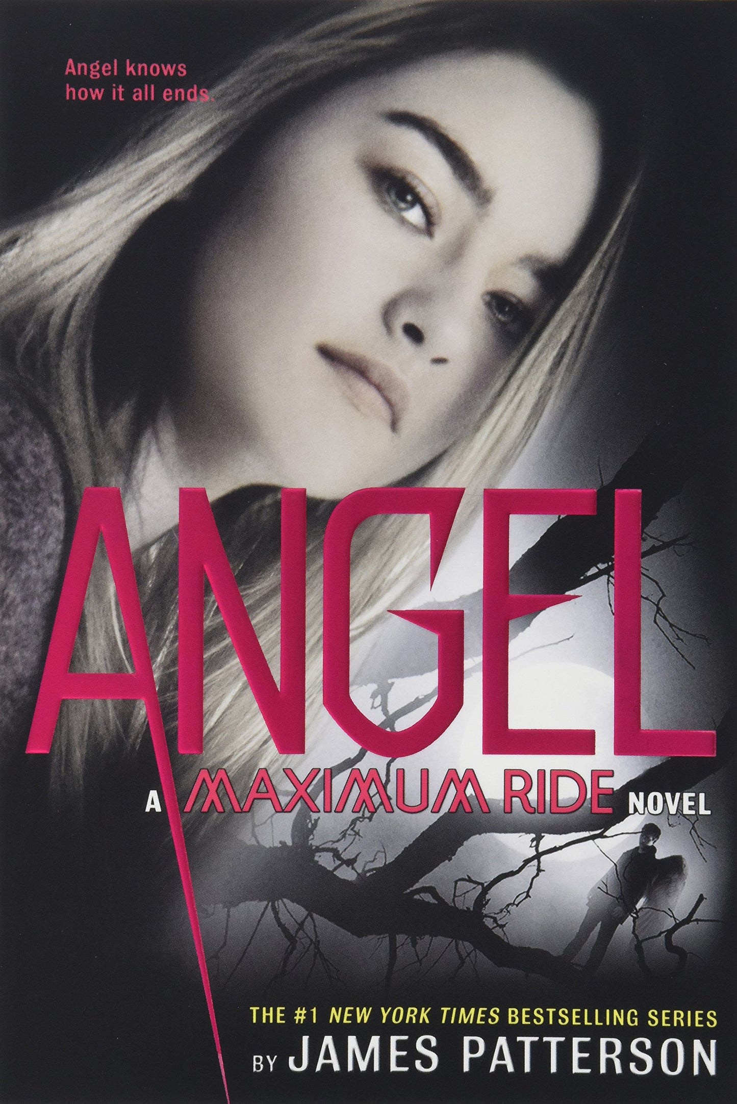 Angel: A Maximum Ride Novel The Happy Book Stack