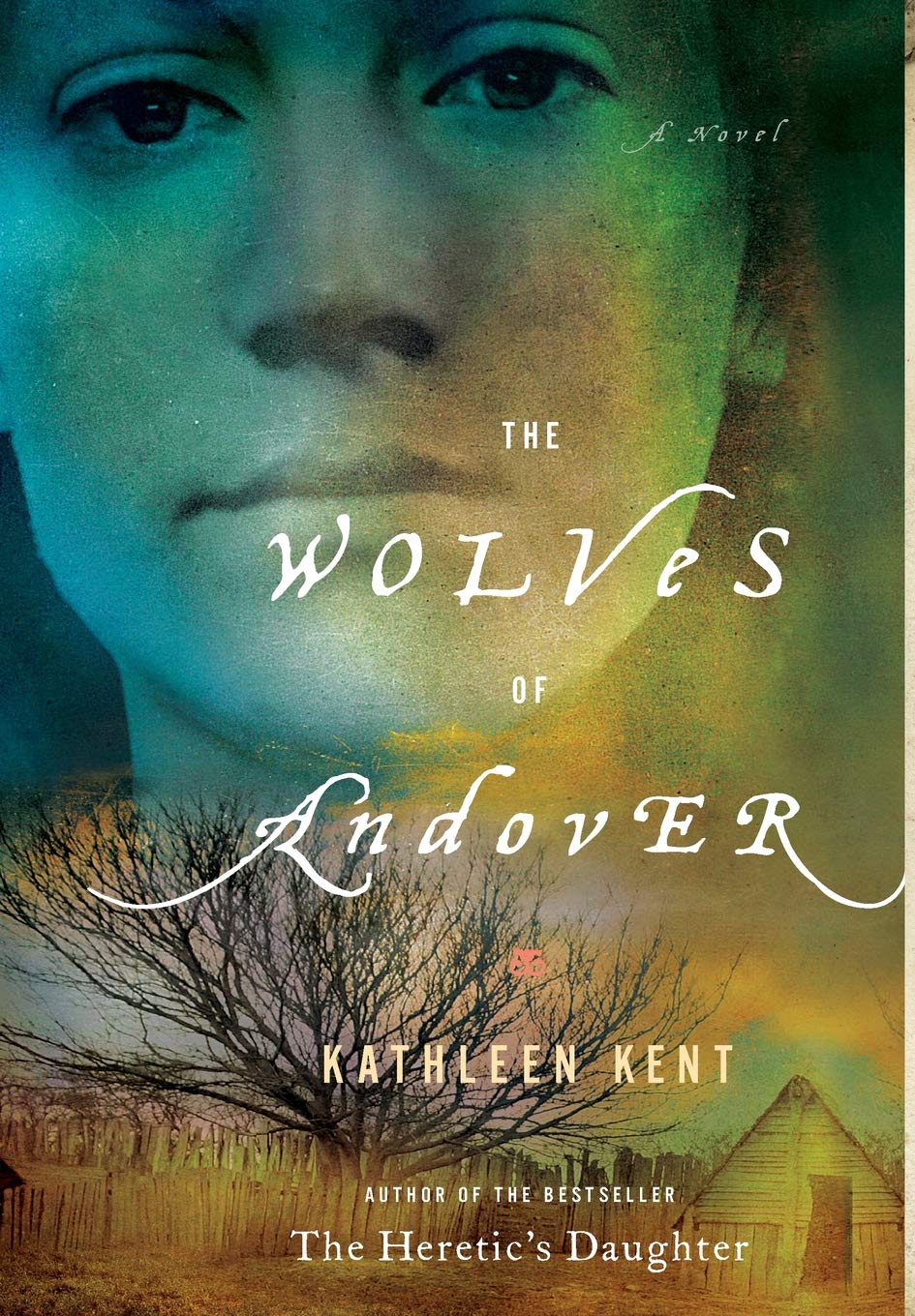 The Wolves of Andover: A Novel The Happy Book Stack