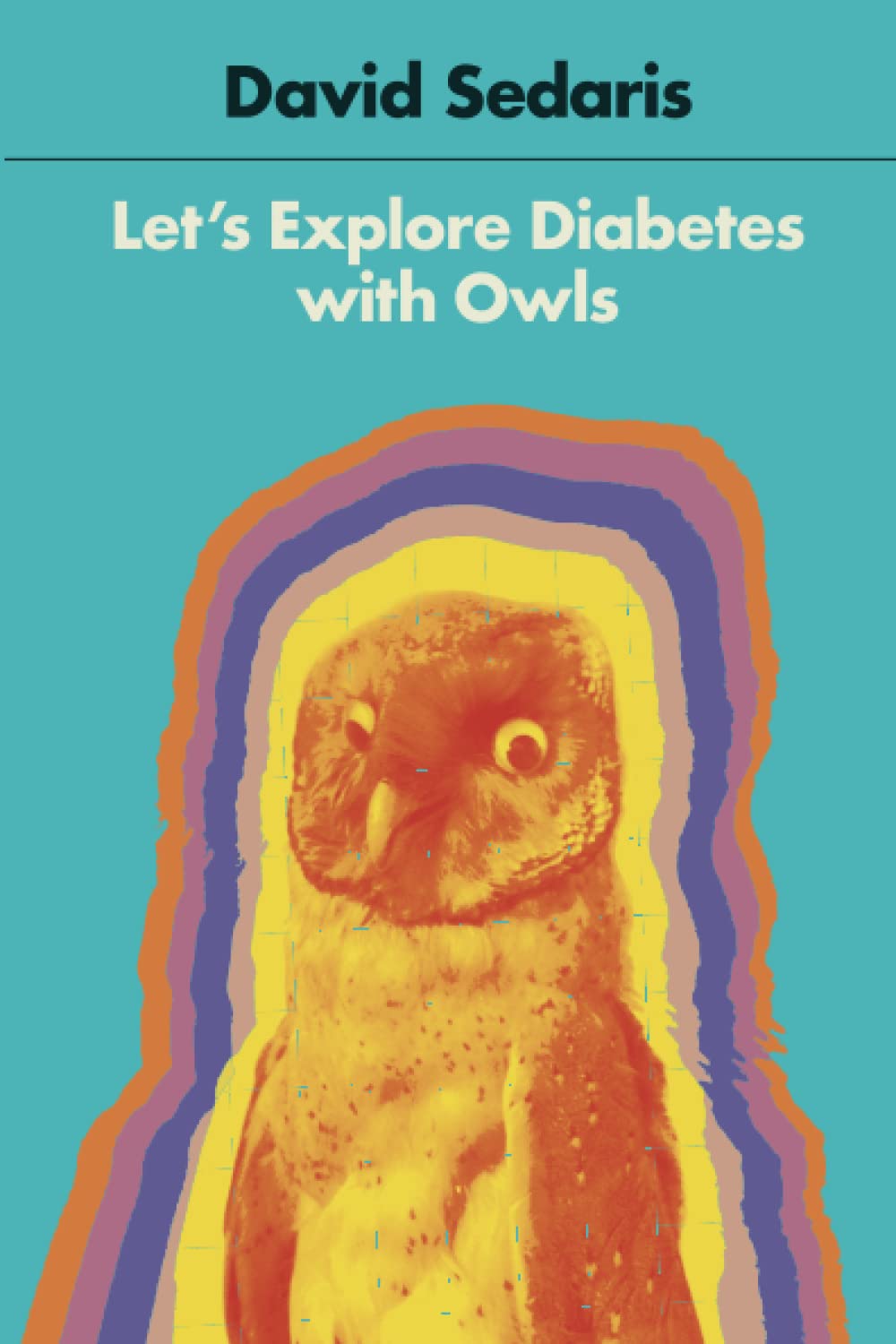Let's Explore Diabetes with Owls The Happy Book Stack