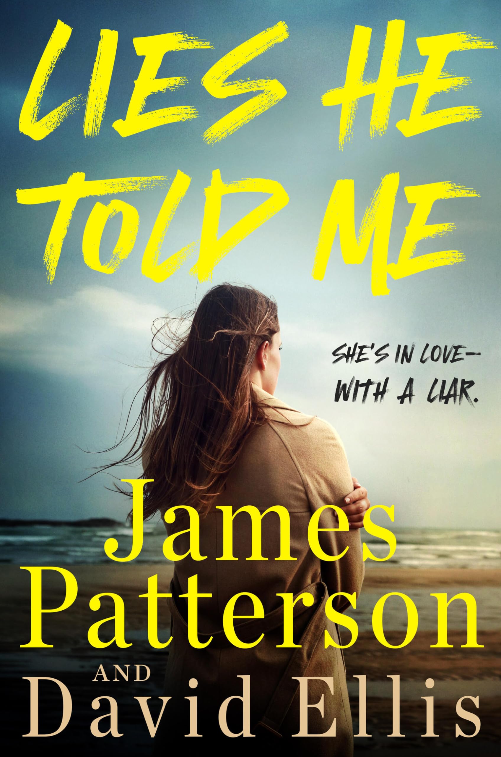 Lies He Told Me: A Thriller The Happy Book Stack