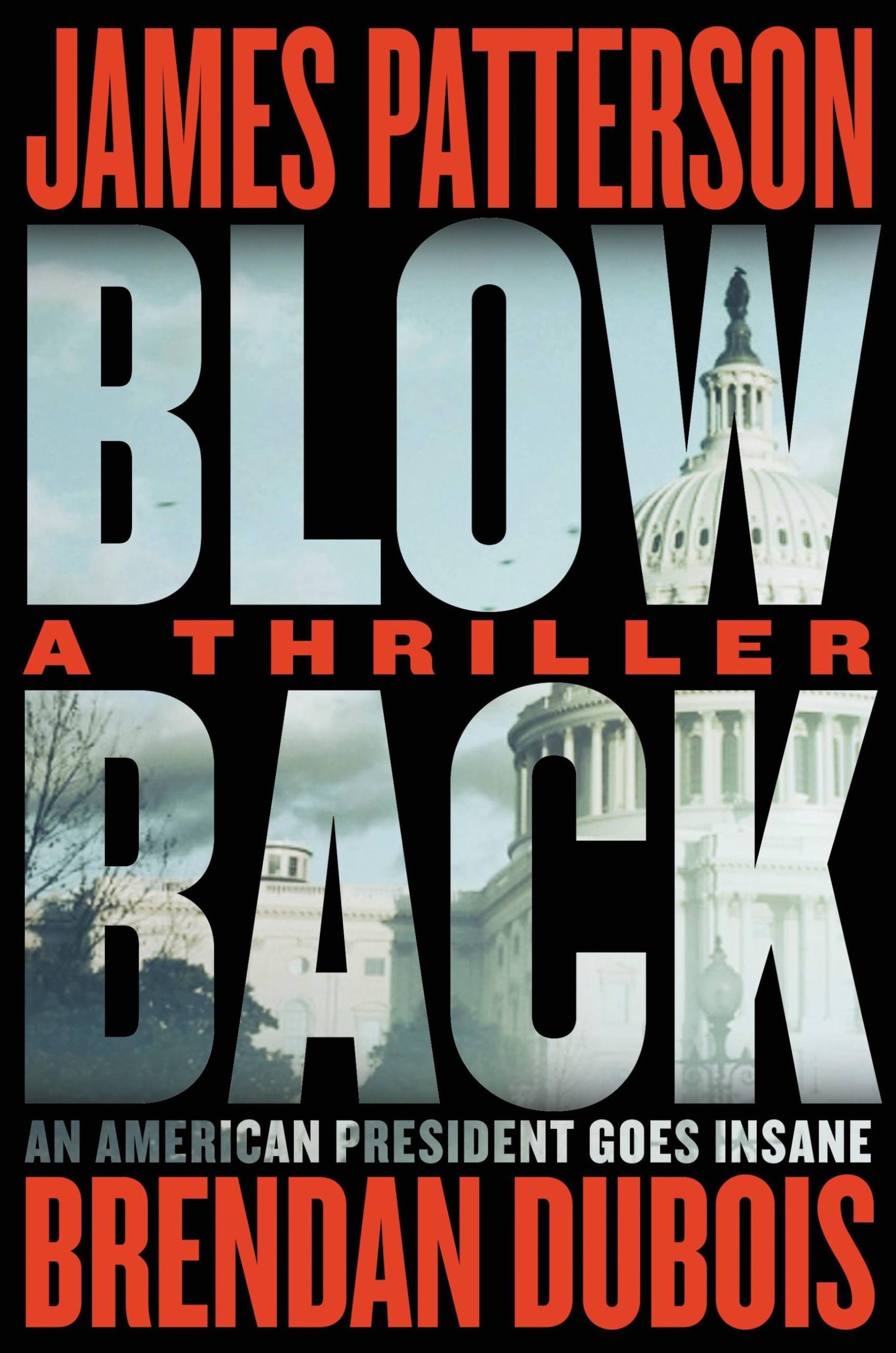 Blowback: A Thriller The Happy Book Stack