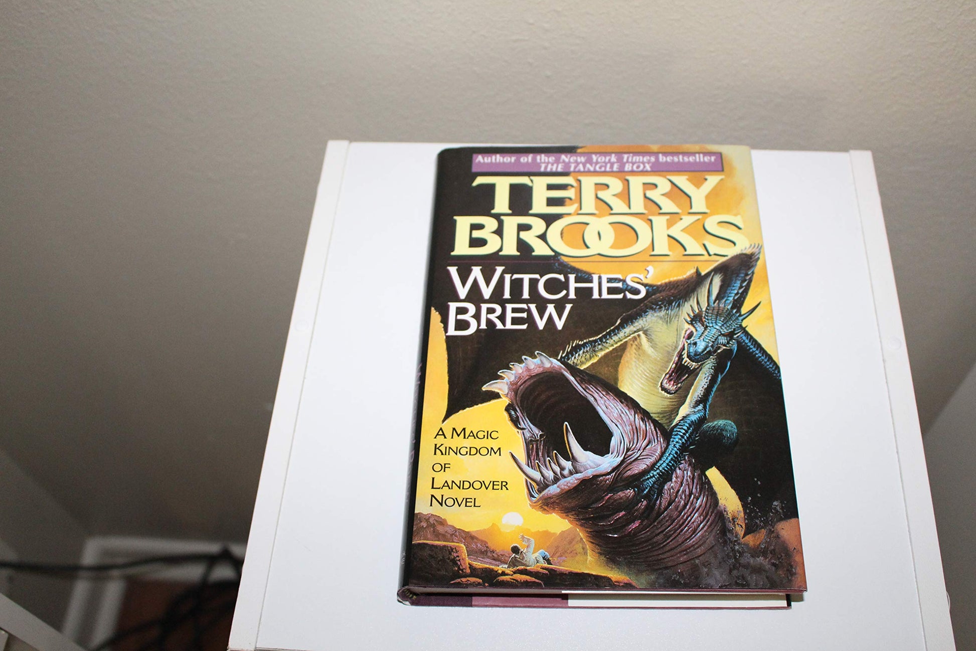 Witches' Brew (The Magic Kingdom of Landover) The Happy Book Stack