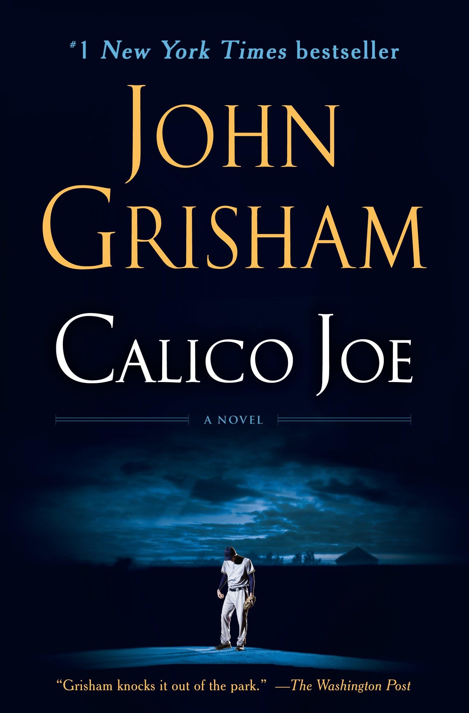 Calico Joe: A Novel The Happy Book Stack
