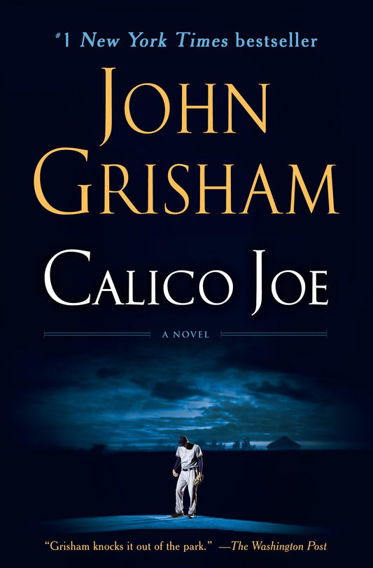 Calico Joe: A Novel The Happy Book Stack