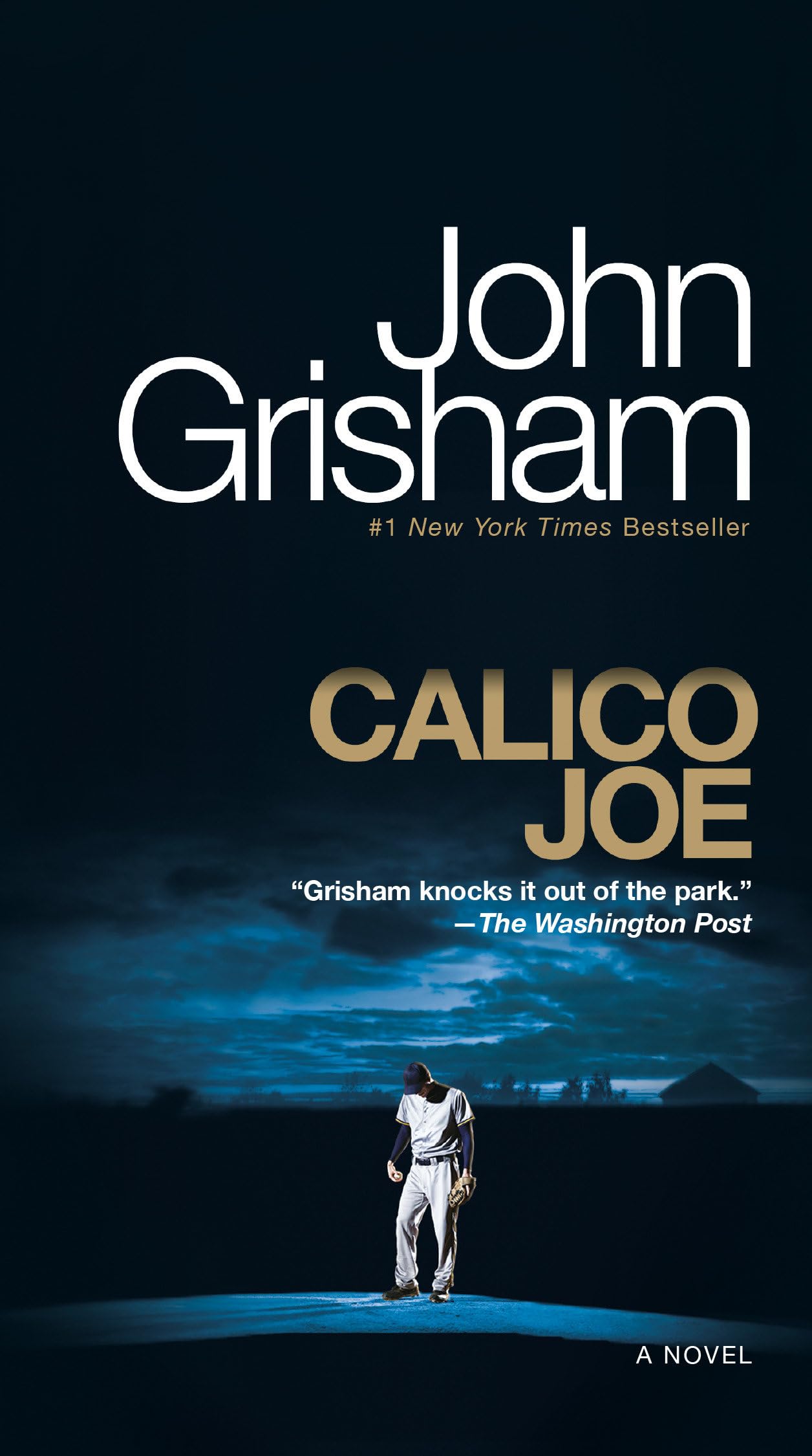 Calico Joe: A Novel The Happy Book Stack