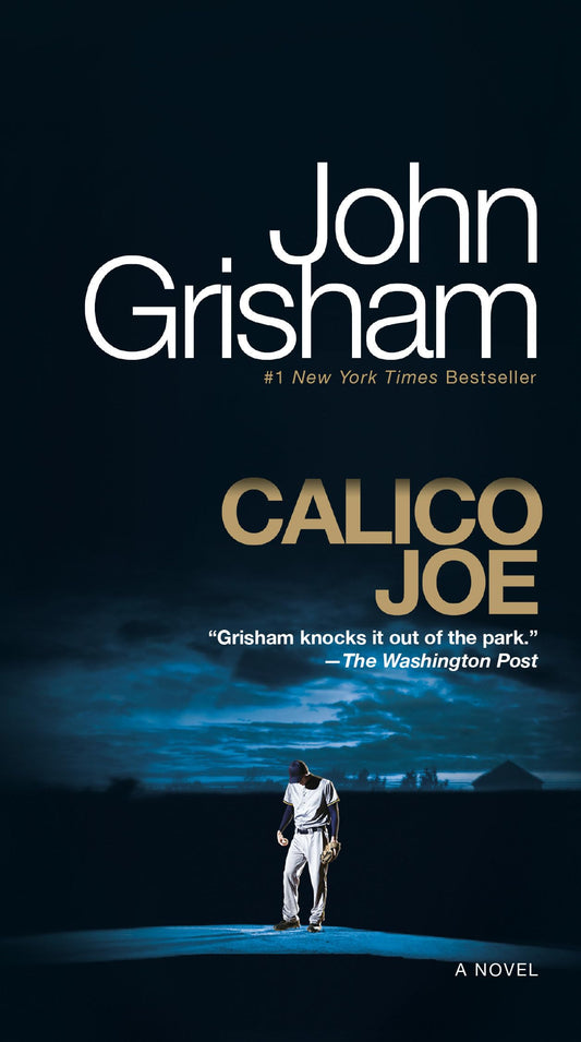 Calico Joe: A Novel The Happy Book Stack