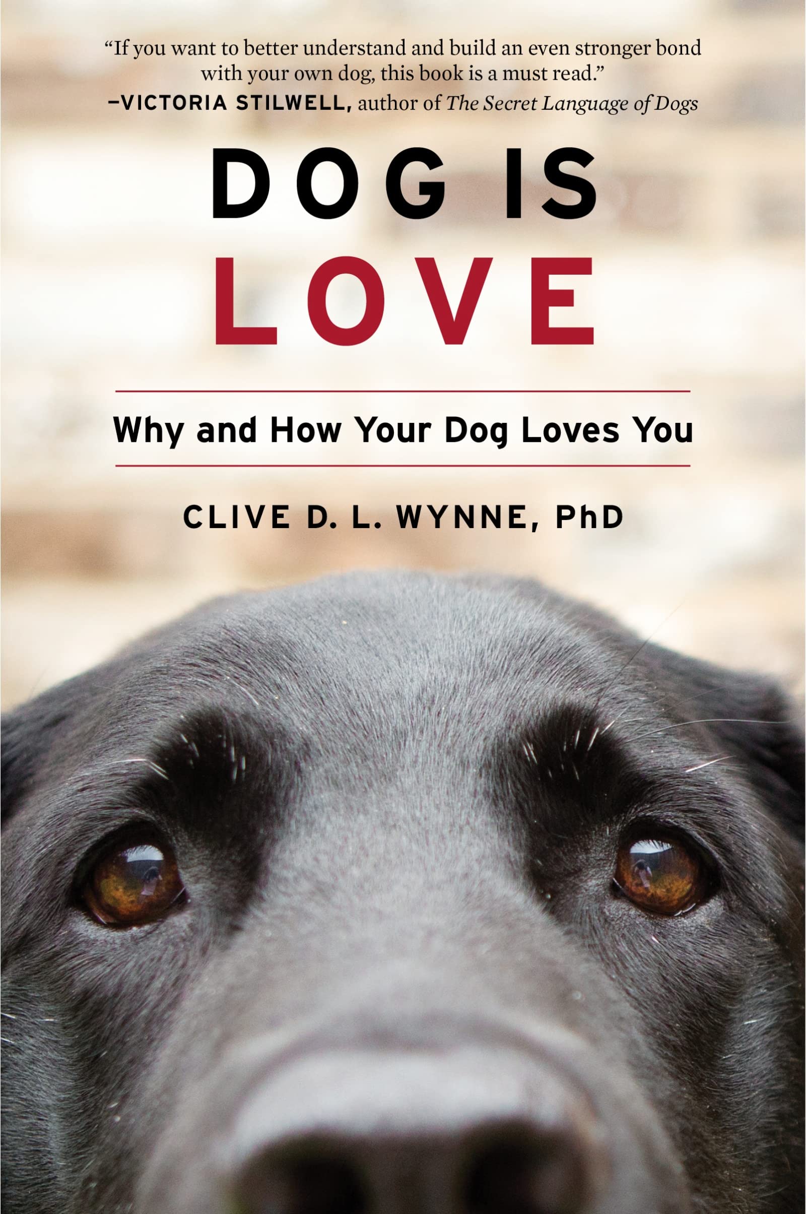 Dog Is Love: Why and How Your Dog Loves You The Happy Book Stack
