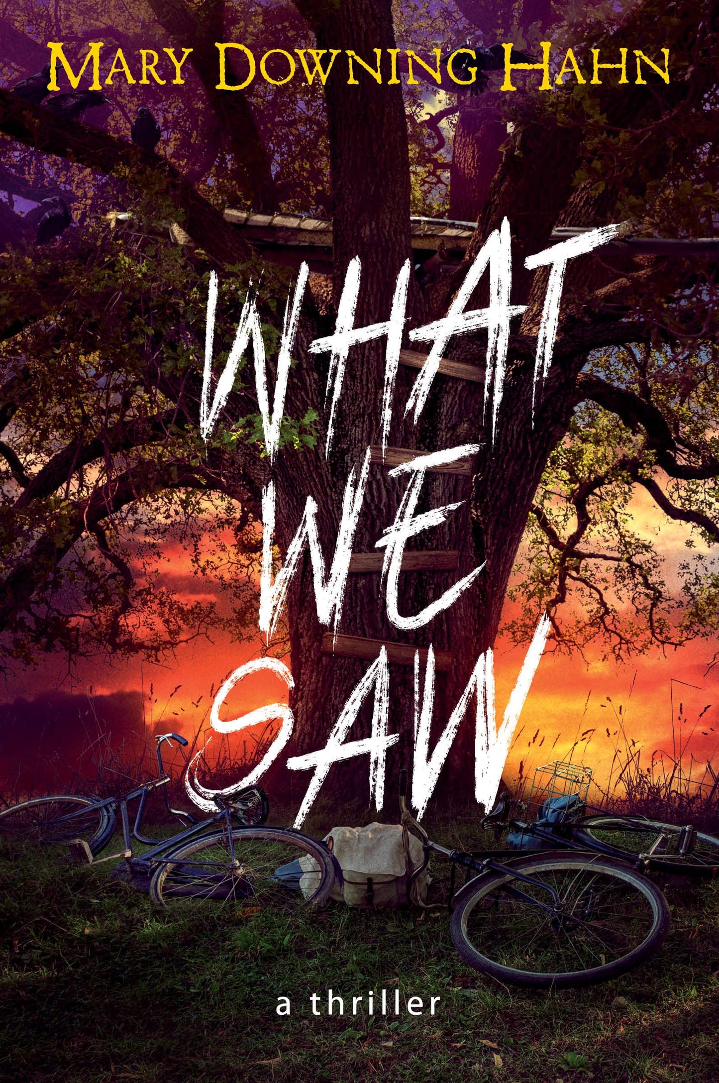 What We Saw: A Thriller The Happy Book Stack