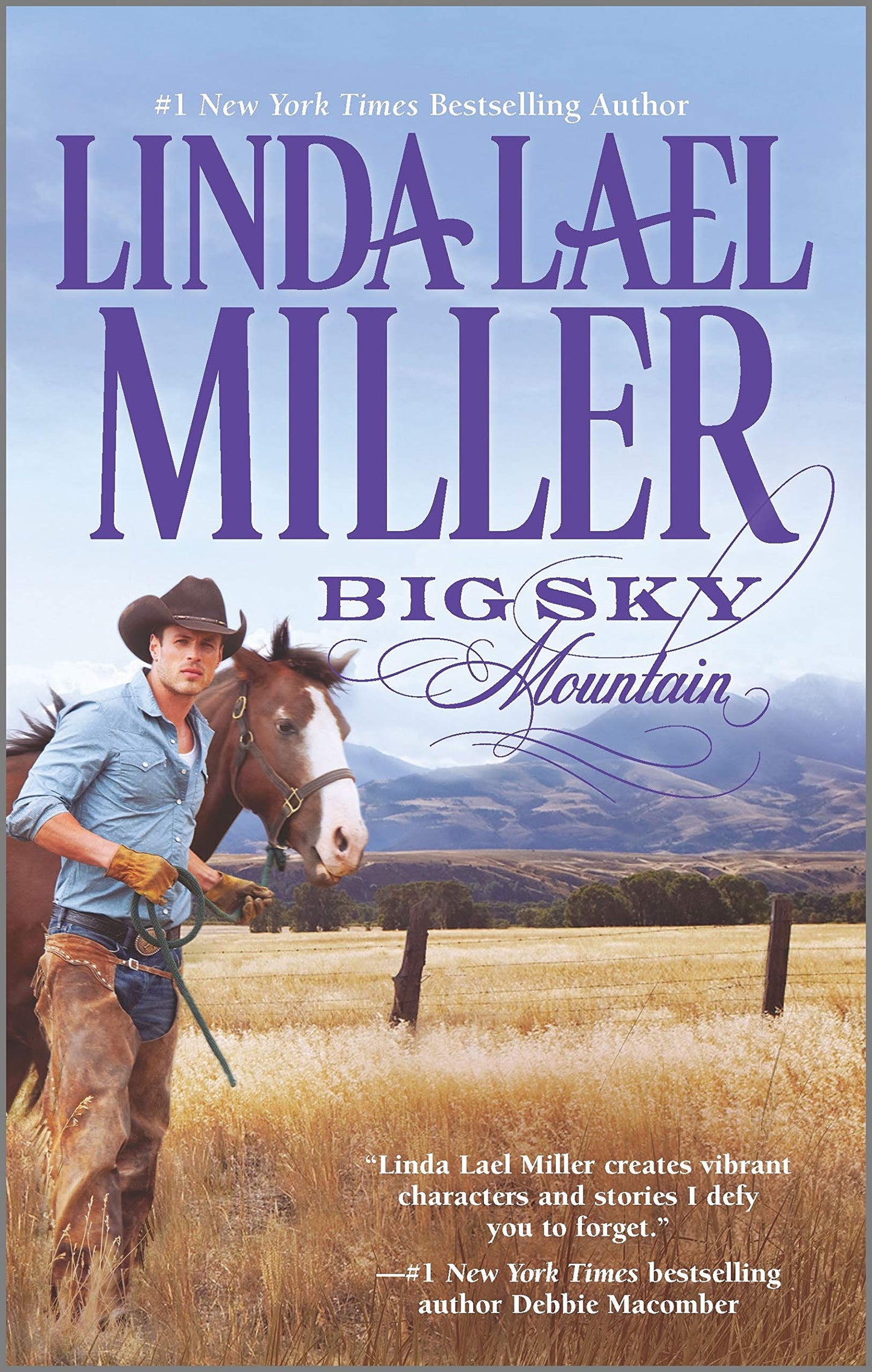 Big Sky Mountain The Happy Book Stack