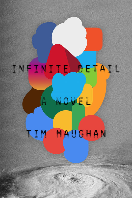 Infinite Detail: A Novel - 4837