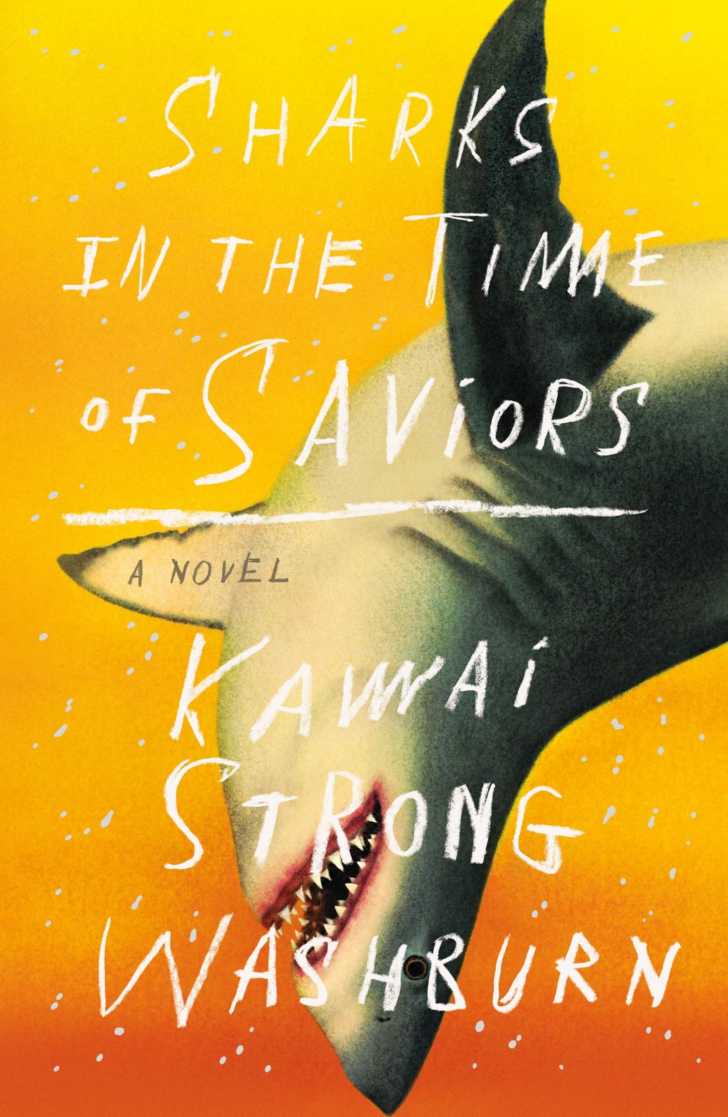 Sharks in the Time of Saviors: A Novel The Happy Book Stack