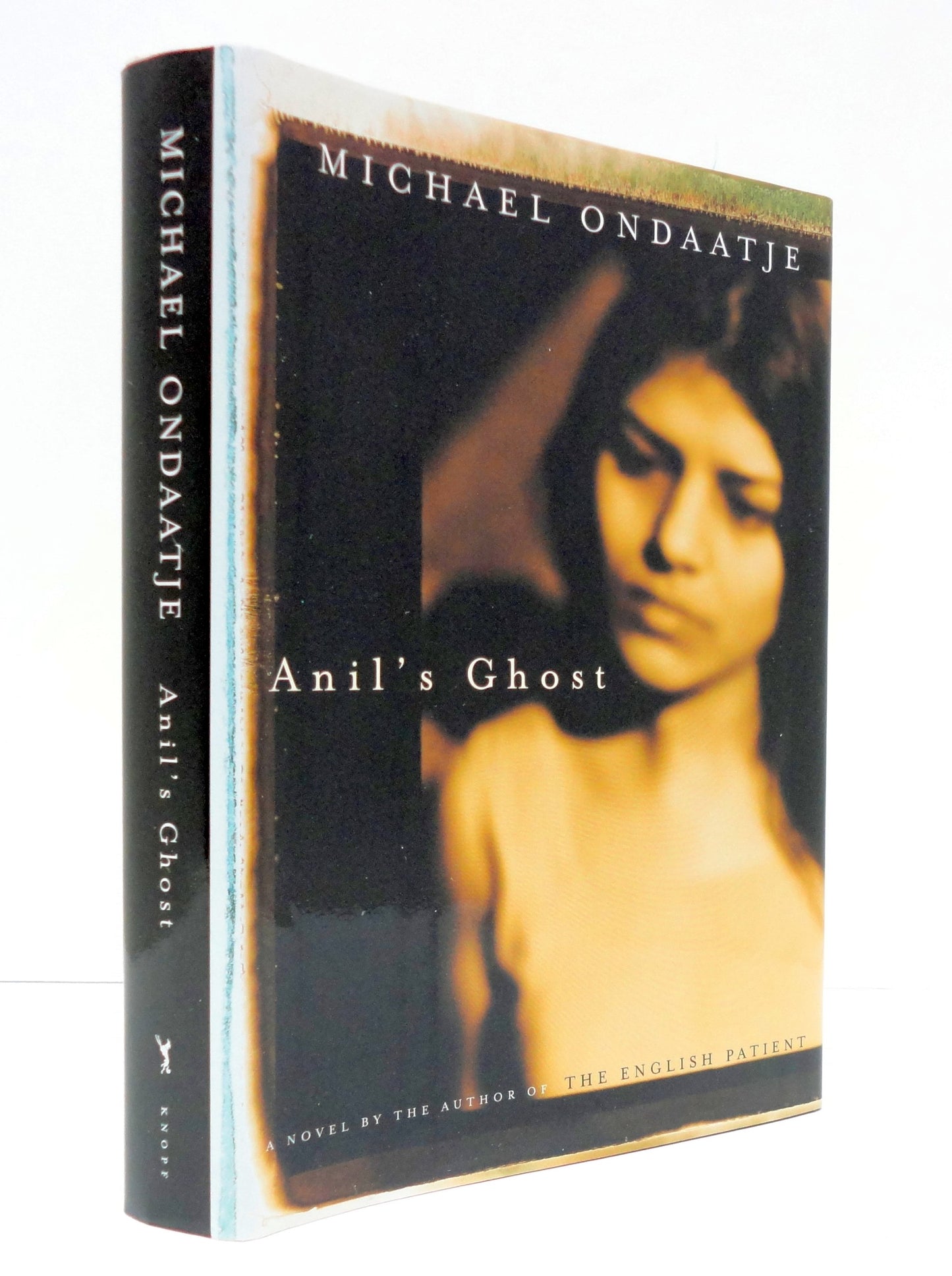 Anil's Ghost The Happy Book Stack