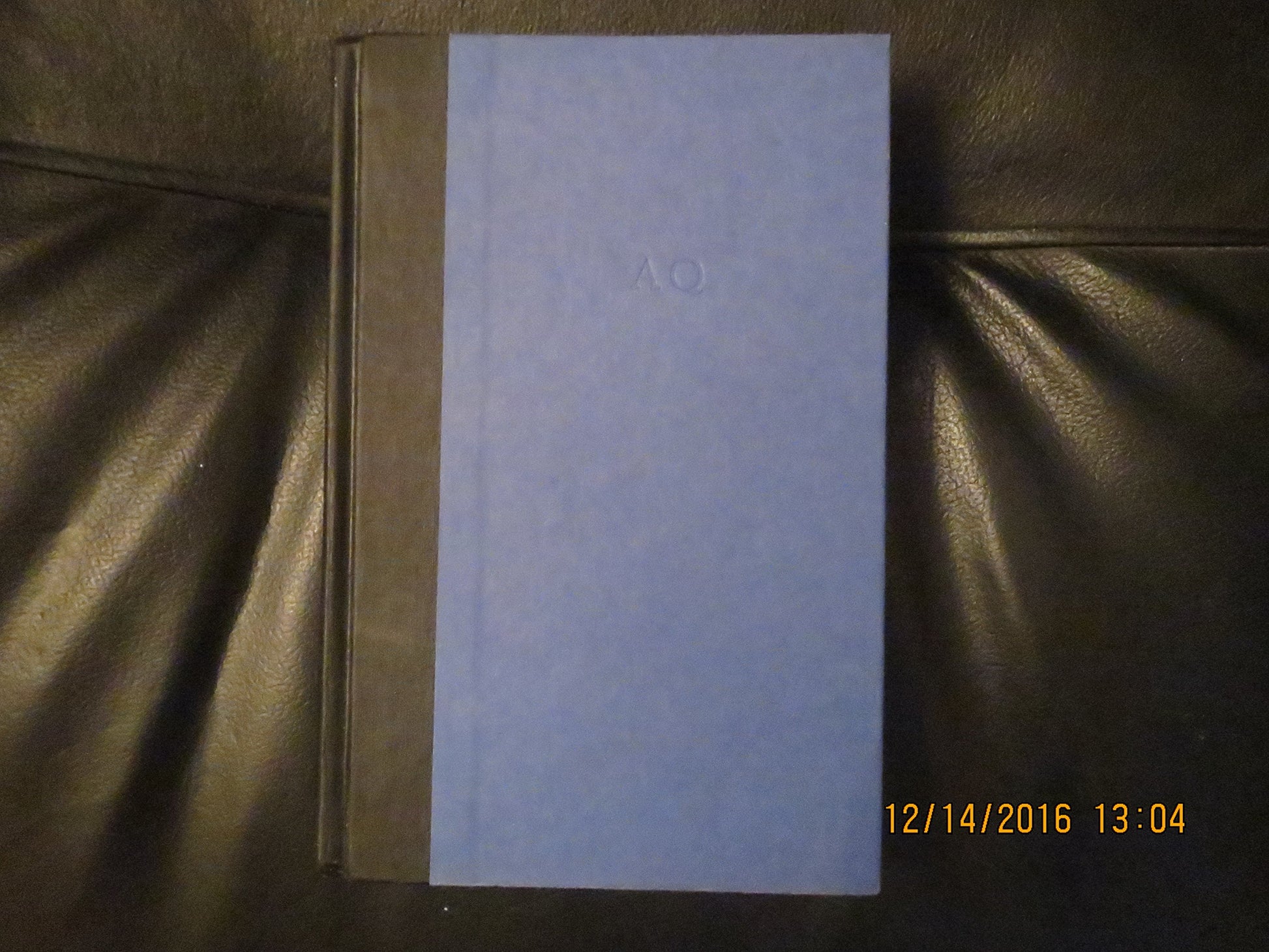 Black and Blue: A Novel The Happy Book Stack