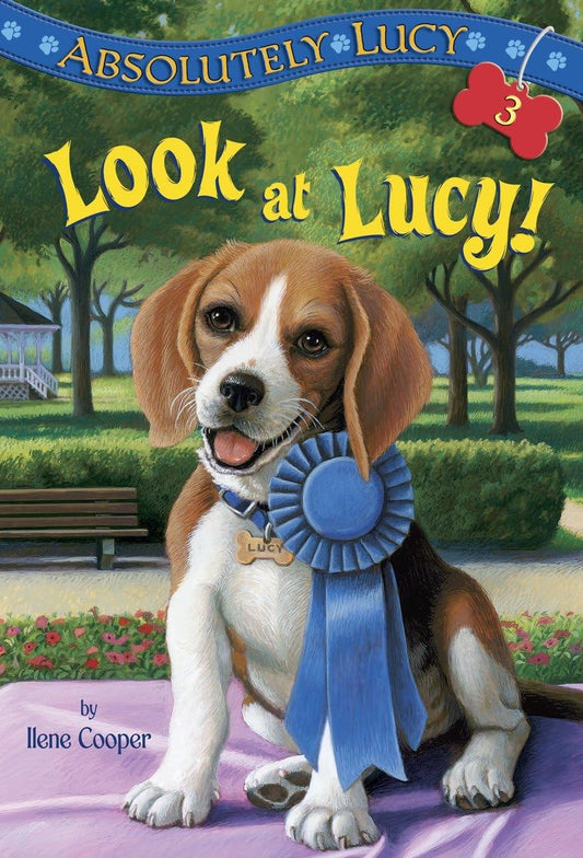 Absolutely Lucy #3: Look at Lucy! The Happy Book Stack