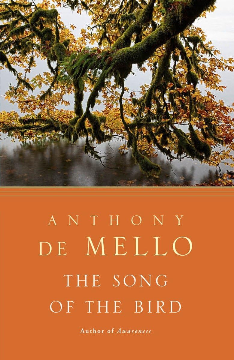 The Song of the Bird The Happy Book Stack