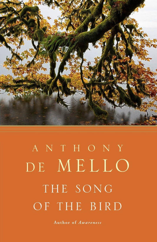 The Song of the Bird The Happy Book Stack