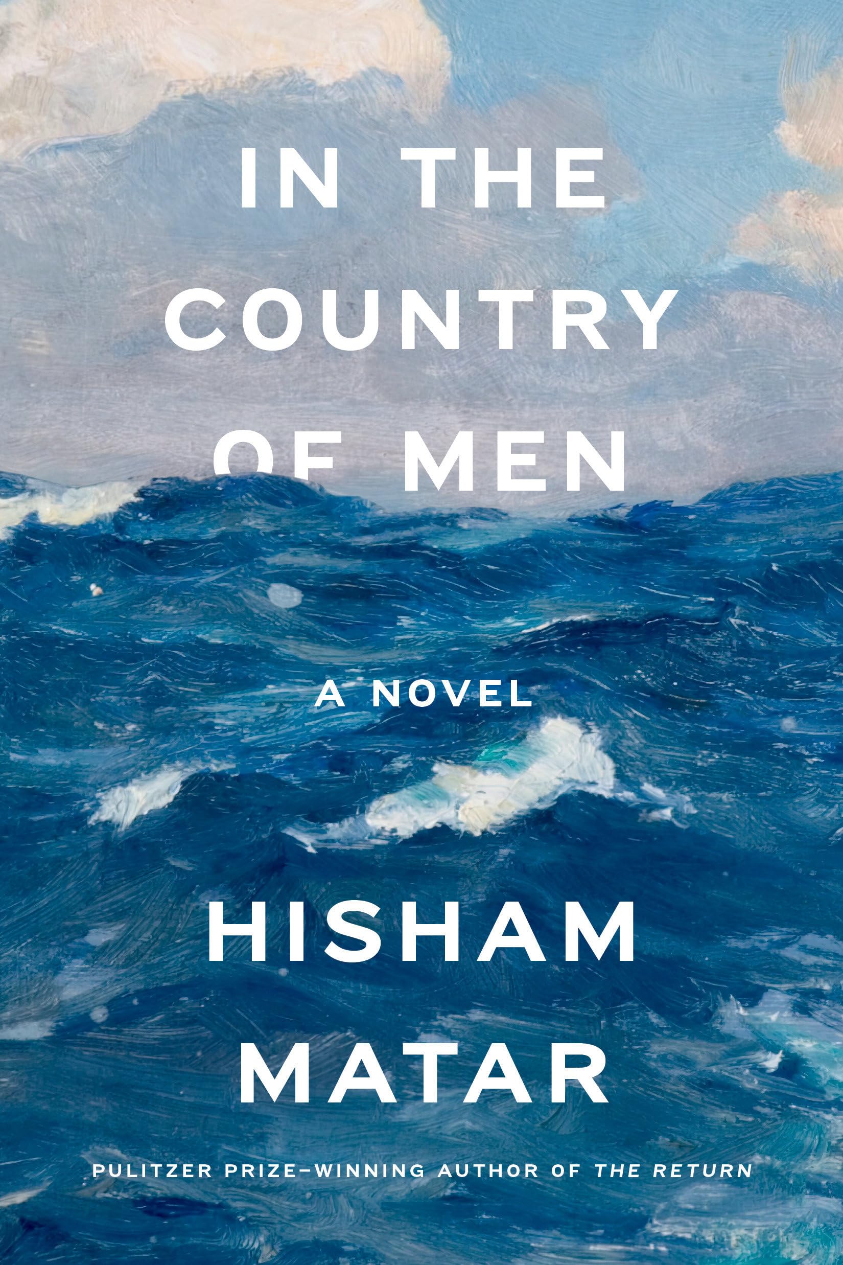 In the Country of Men: A Novel The Happy Book Stack
