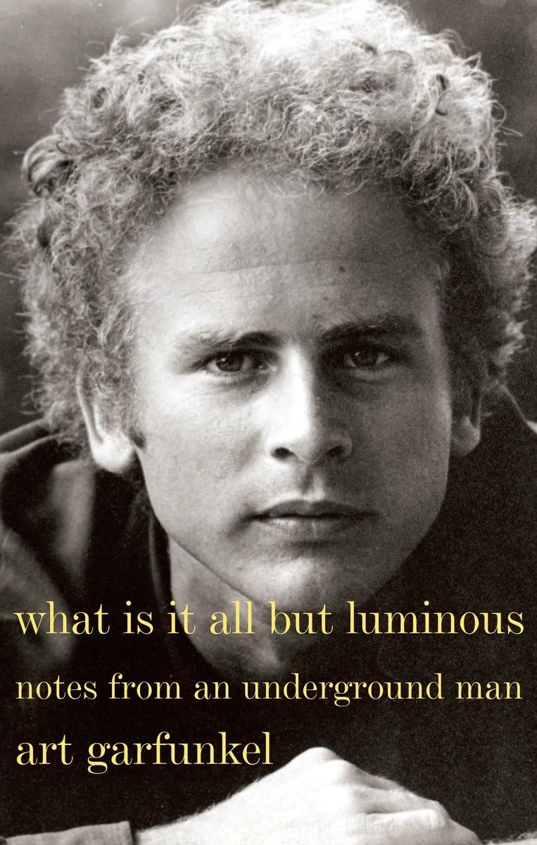 What Is It All but Luminous: Notes from an Underground Man The Happy Book Stack