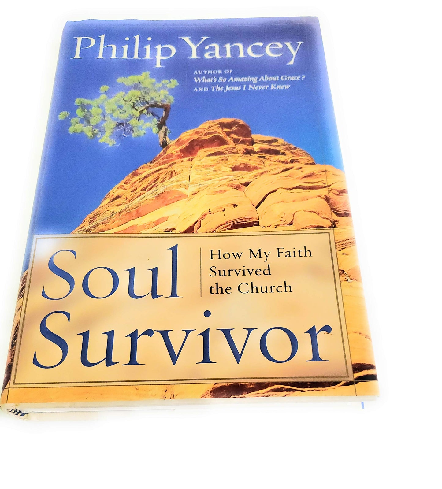 Soul Survivor: How My Faith Survived the Church The Happy Book Stack