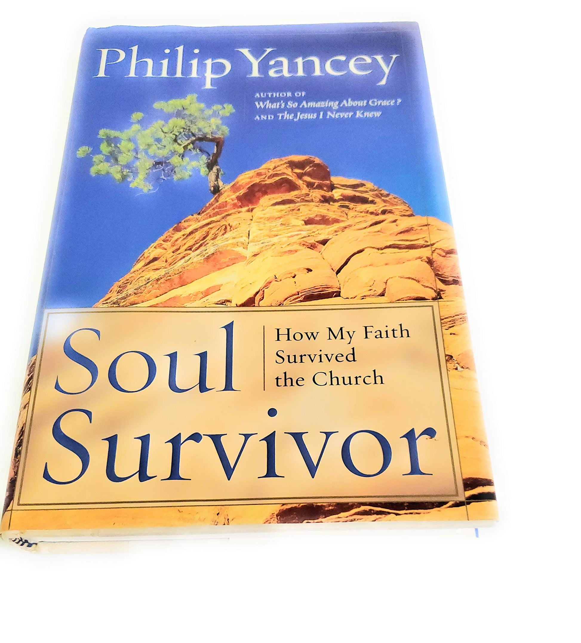 Soul Survivor: How My Faith Survived the Church The Happy Book Stack