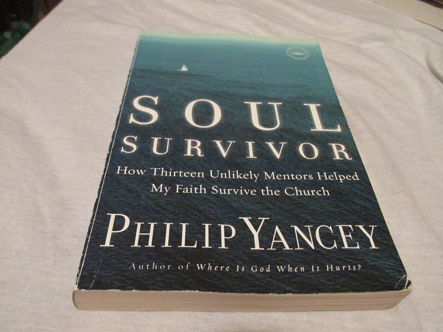 Soul Survivor: How Thirteen Unlikely Mentors Helped My Faith Survive the Church The Happy Book Stack