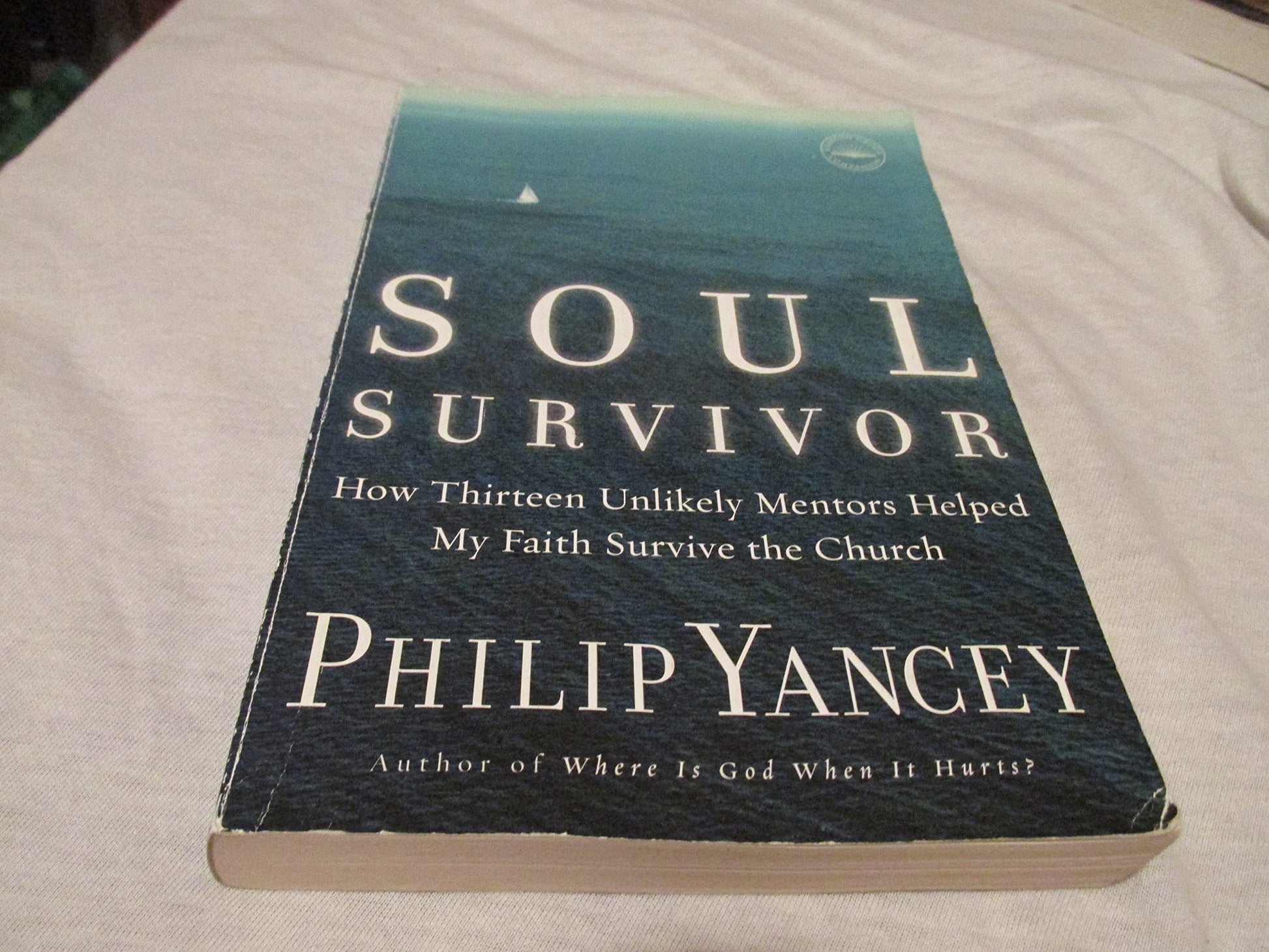 Soul Survivor: How Thirteen Unlikely Mentors Helped My Faith Survive the Church The Happy Book Stack