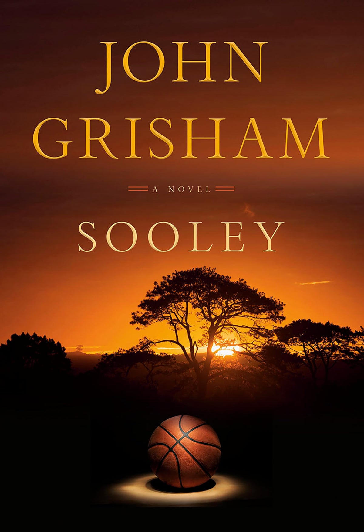 Sooley: A Novel The Happy Book Stack