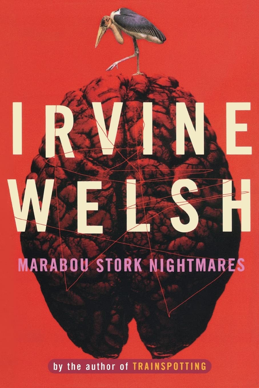Marabou Stork Nightmares The Happy Book Stack