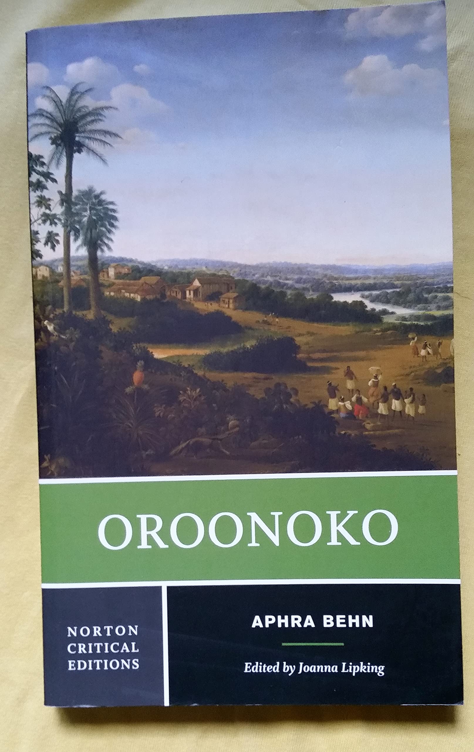 Oroonoko: A Norton Critical Edition The Happy Book Stack
