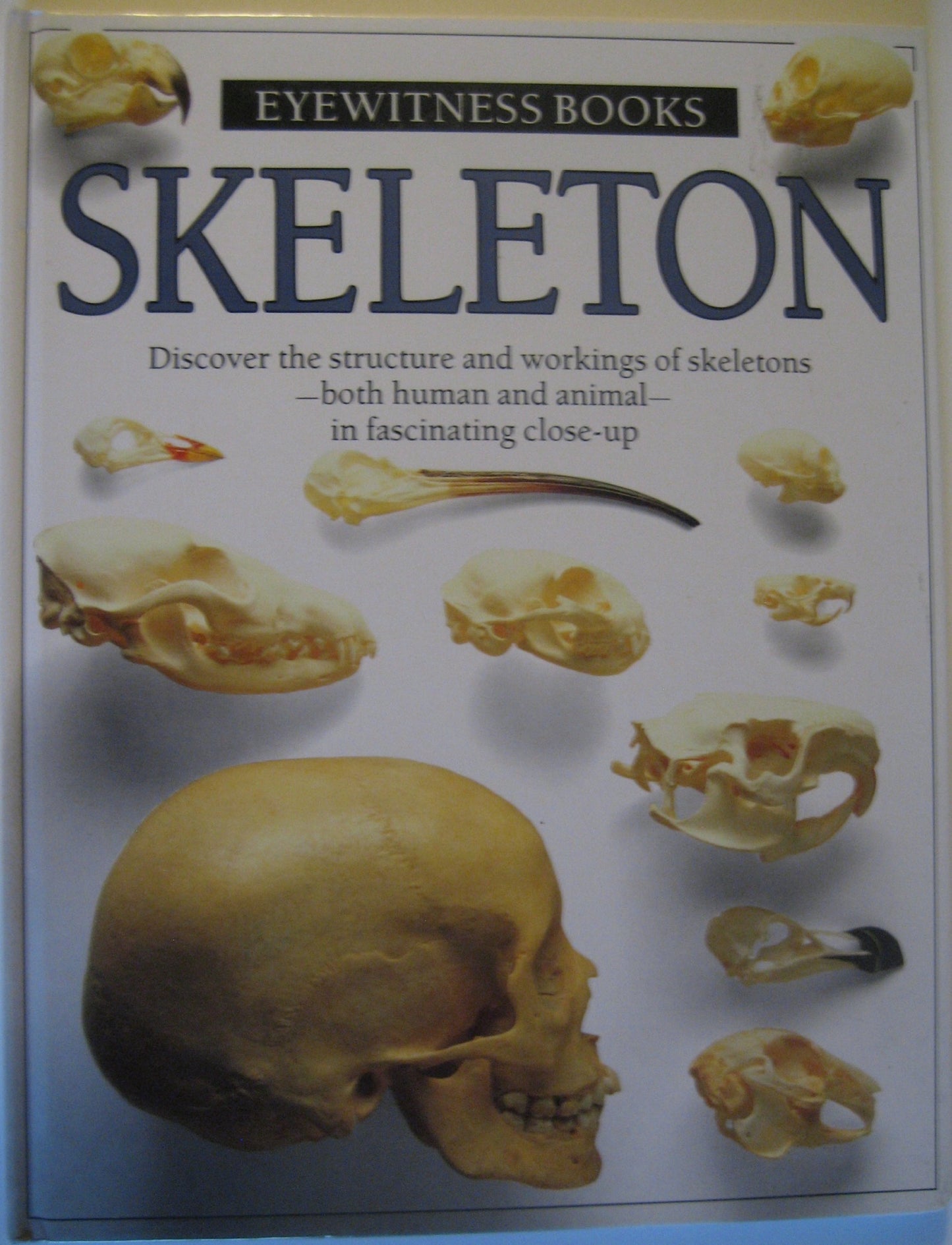 Skeleton The Happy Book Stack