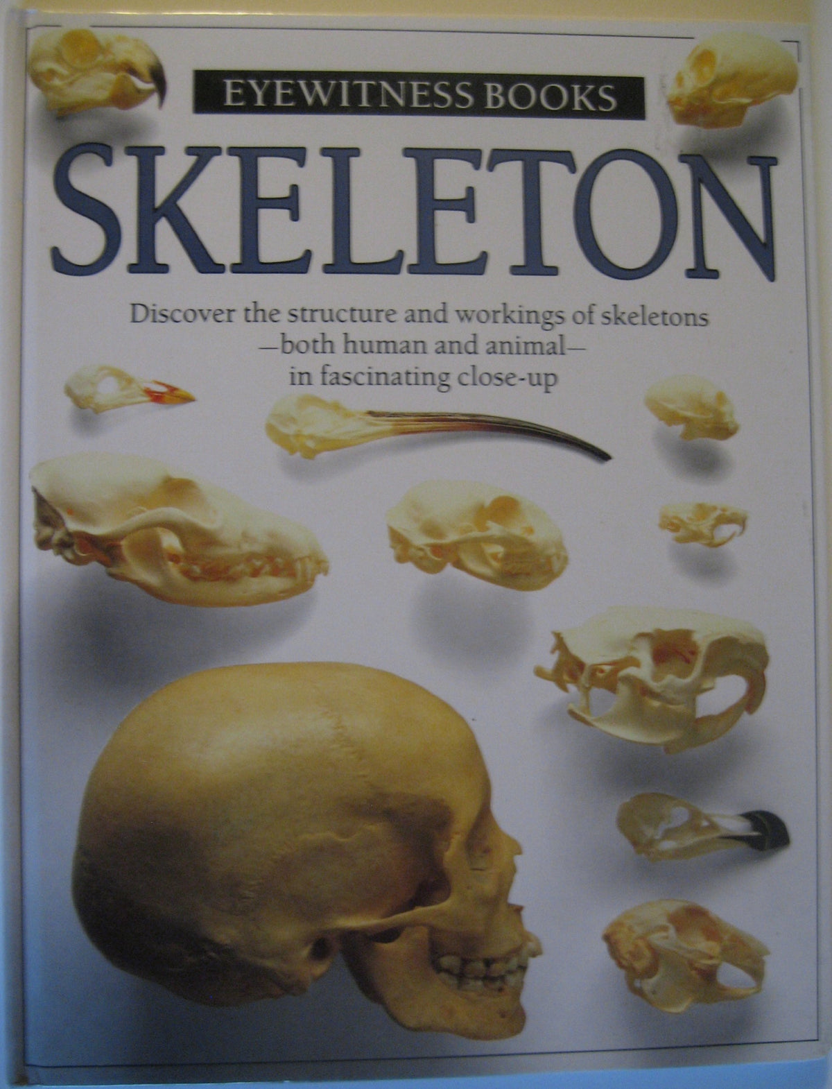 Skeleton The Happy Book Stack
