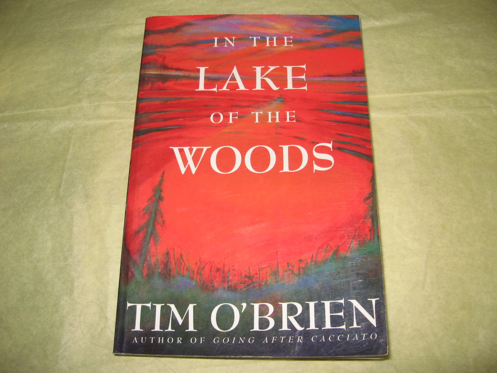 In the Lake of the Woods The Happy Book Stack