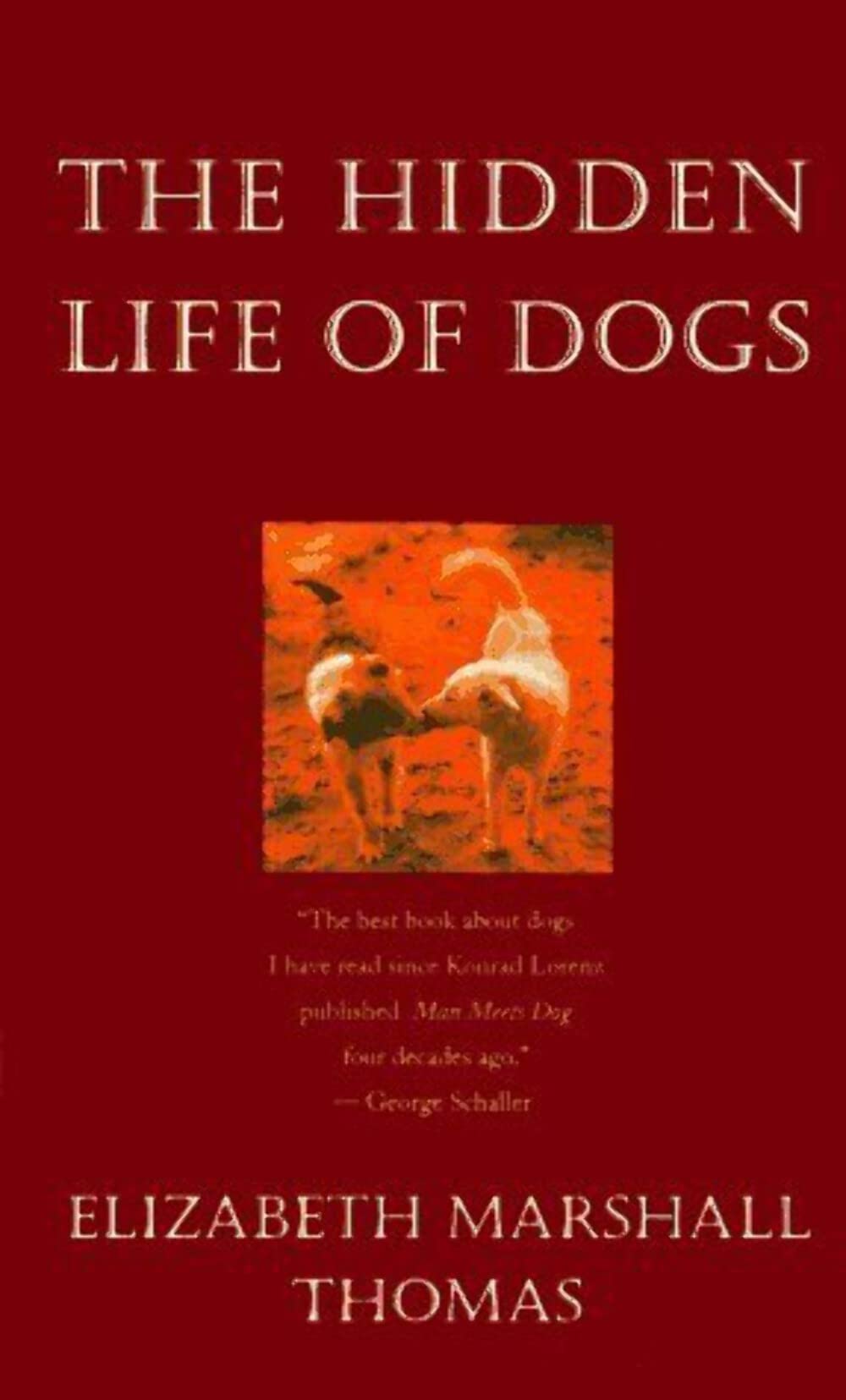 The Hidden Life of Dogs The Happy Book Stack