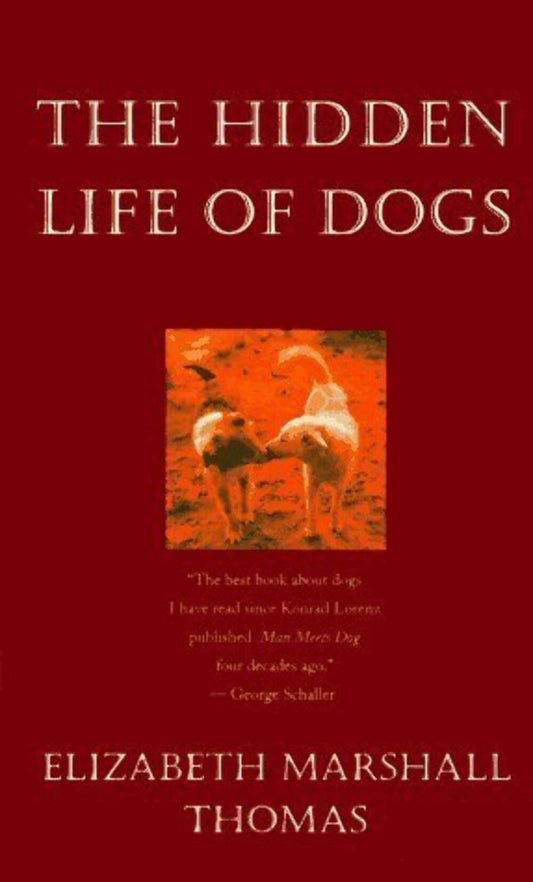 The Hidden Life of Dogs The Happy Book Stack