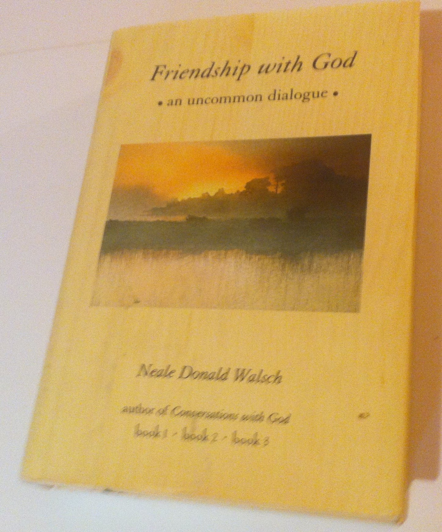 Friendship with God: an uncommon dialogue - 8737