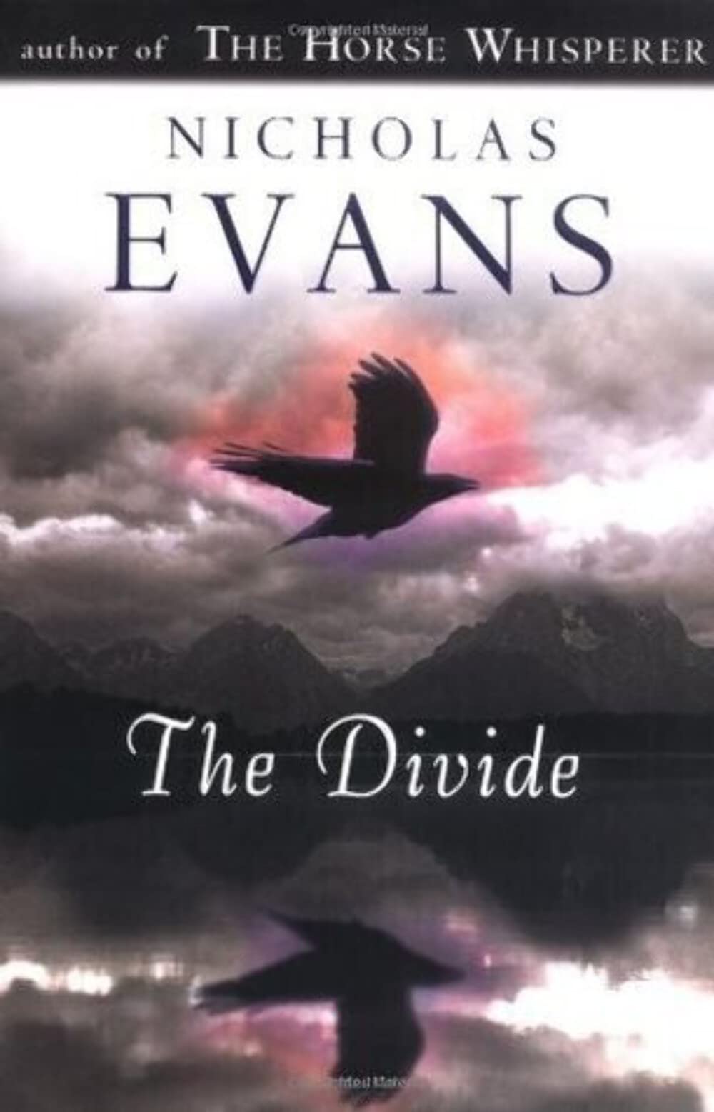 The Divide The Happy Book Stack