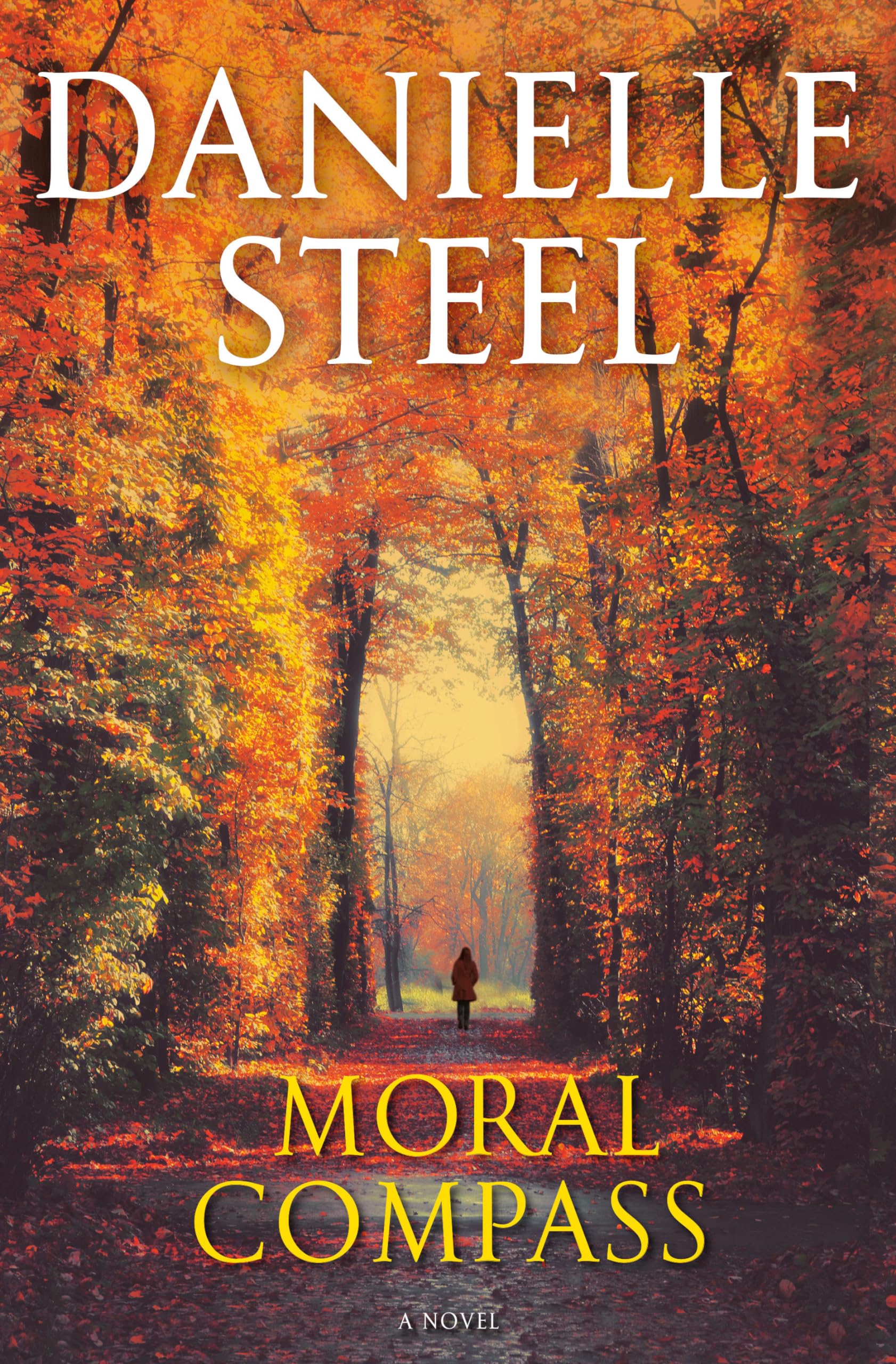 Moral Compass: A Novel The Happy Book Stack
