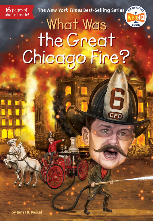 What Was the Great Chicago Fire? The Happy Book Stack