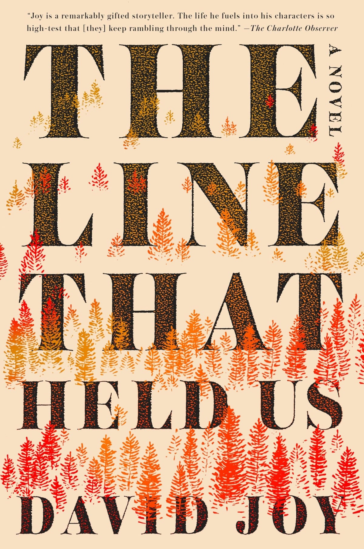 The Line That Held Us The Happy Book Stack