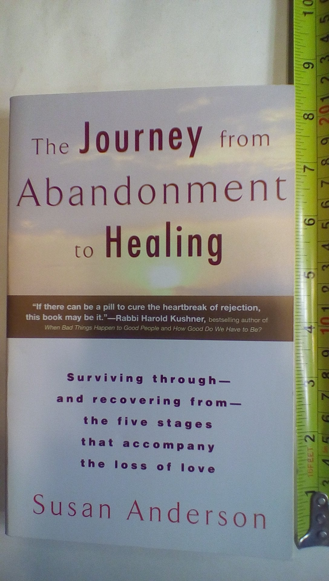 The Journey from Abandonment to Healing: Turn the End of a Relationship into the Beginning of a New Life The Happy Book Stack
