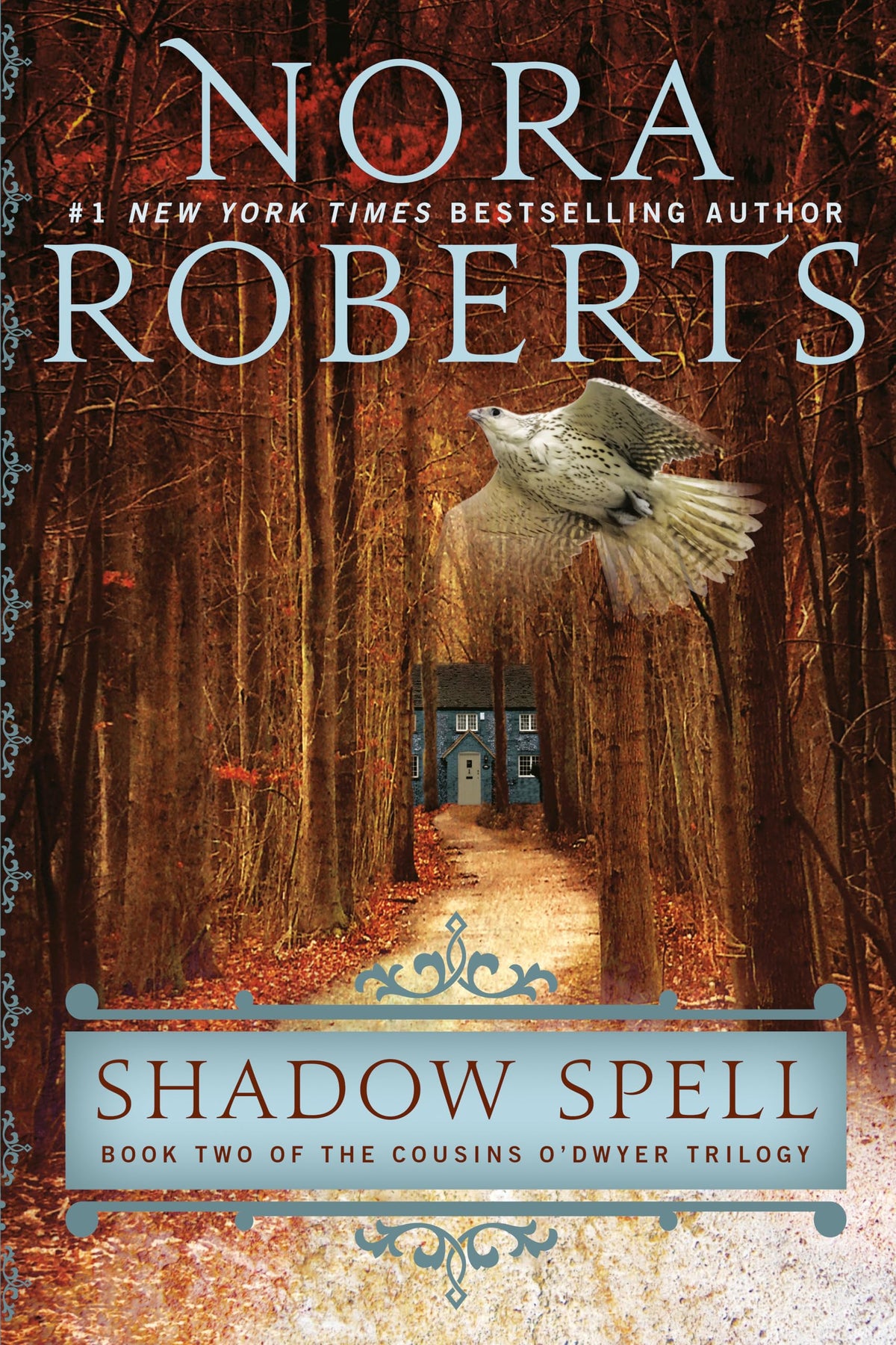 Shadow Spell The Happy Book Stack