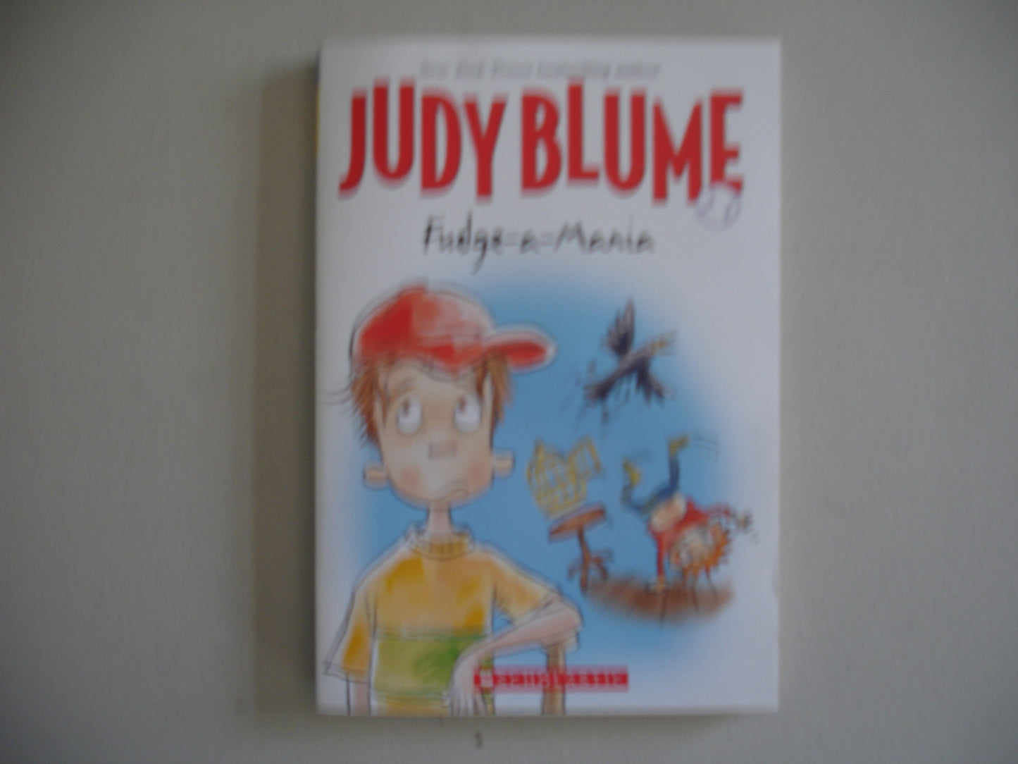 Fudge-a-Mania The Happy Book Stack