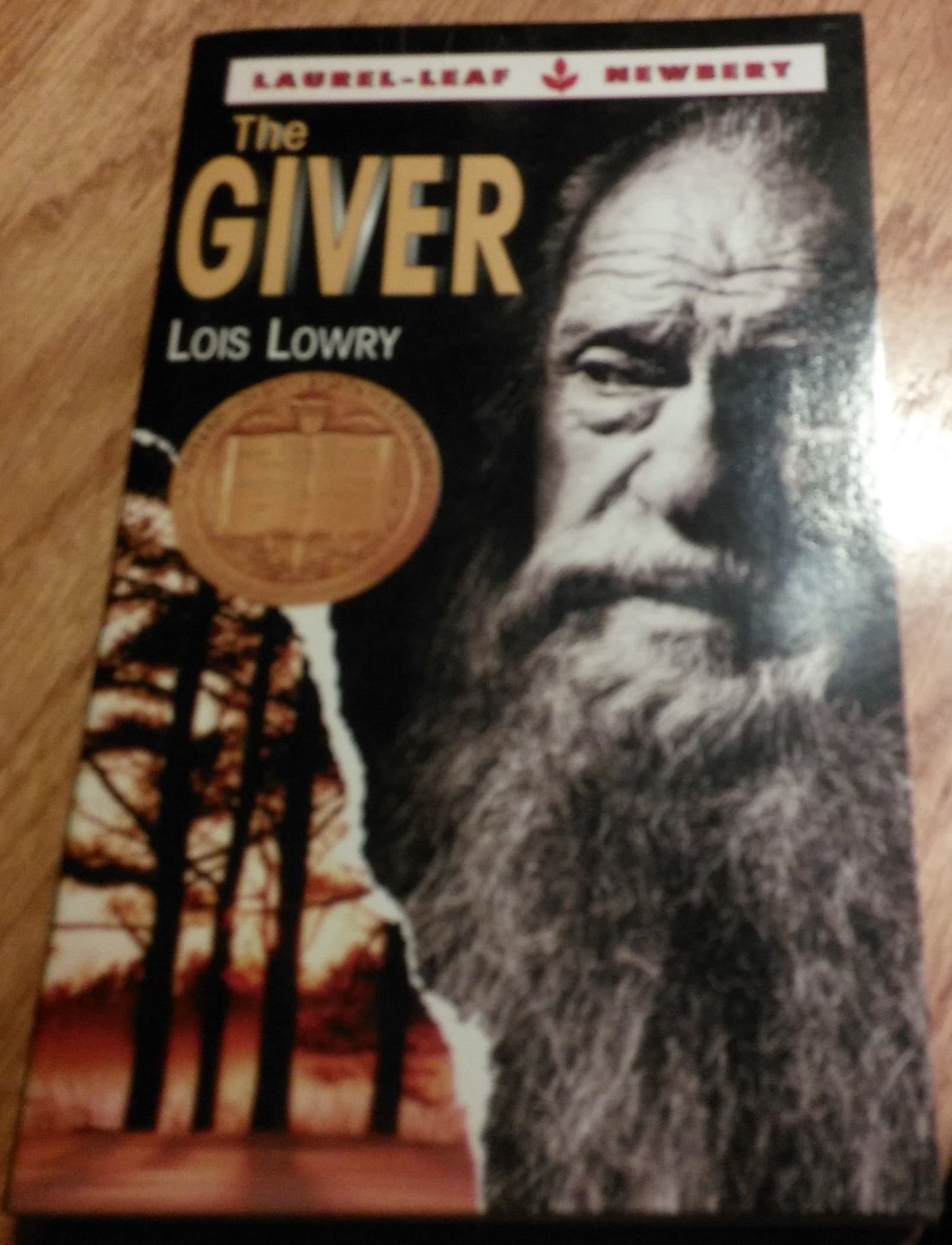 The Giver The Happy Book Stack