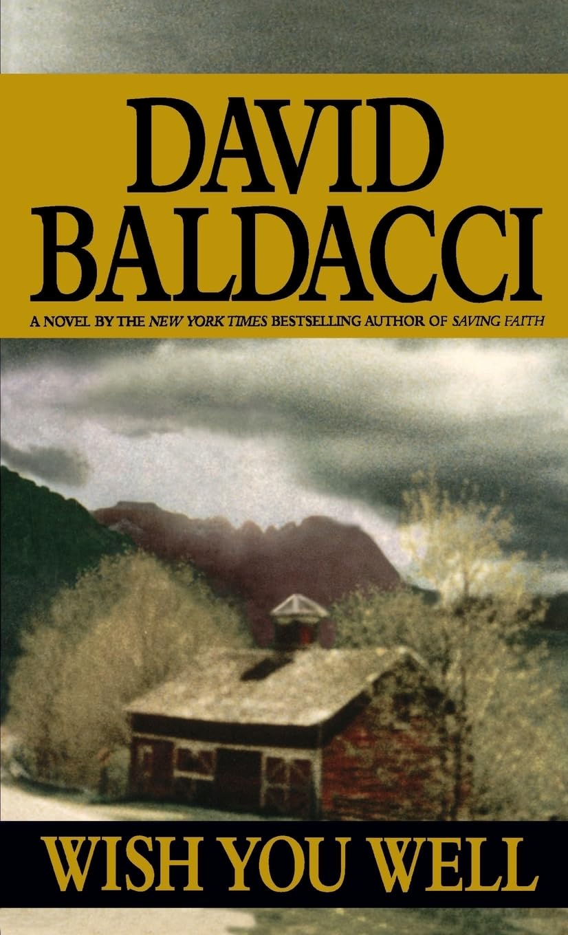 Wish You Well The Happy Book Stack