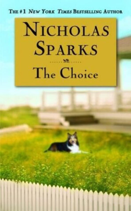 The Choice The Happy Book Stack