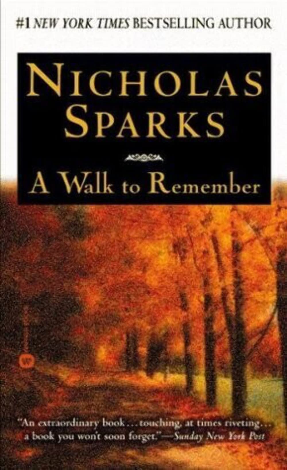 A Walk to Remember The Happy Book Stack