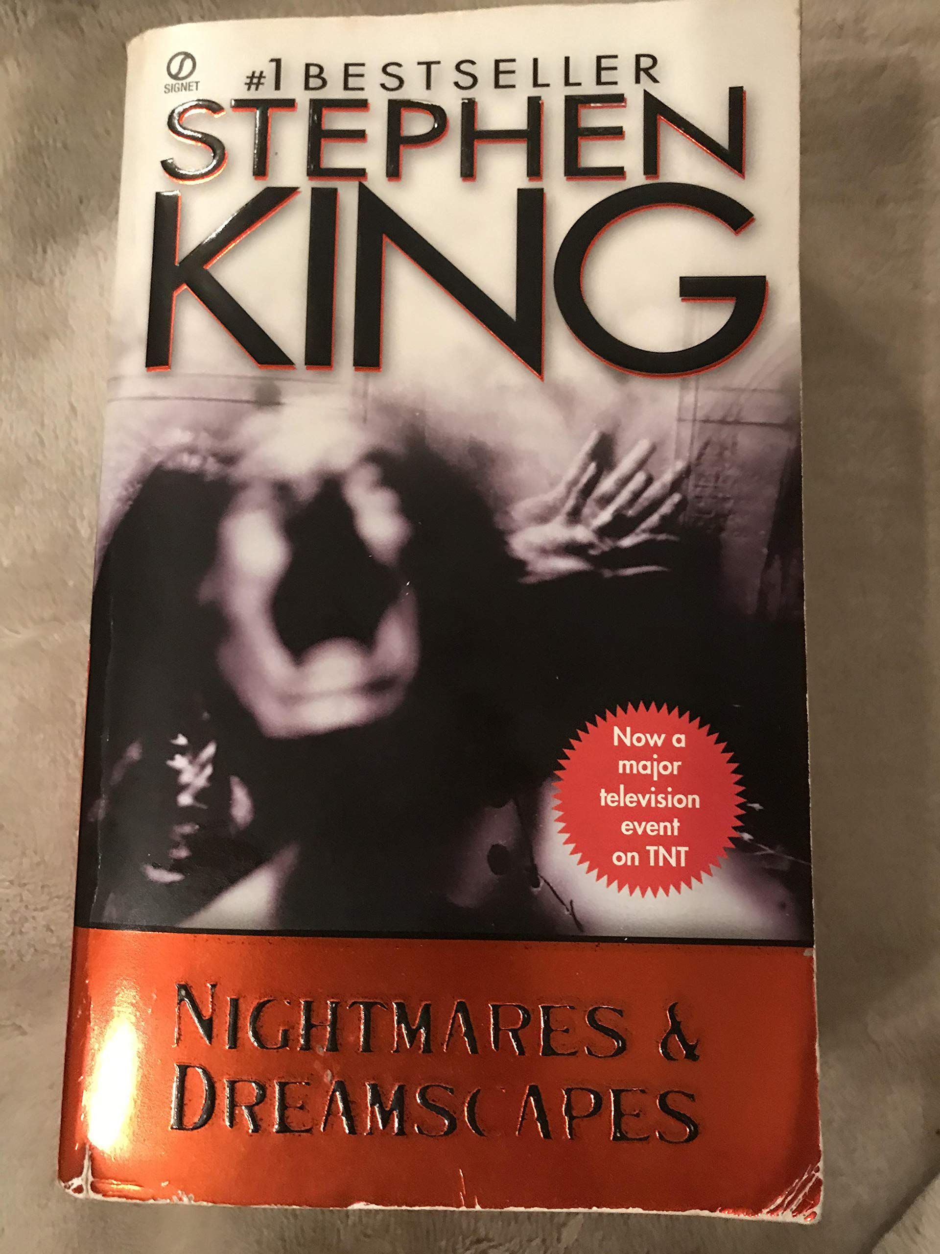 Nightmares and Dreamscapes The Happy Book Stack