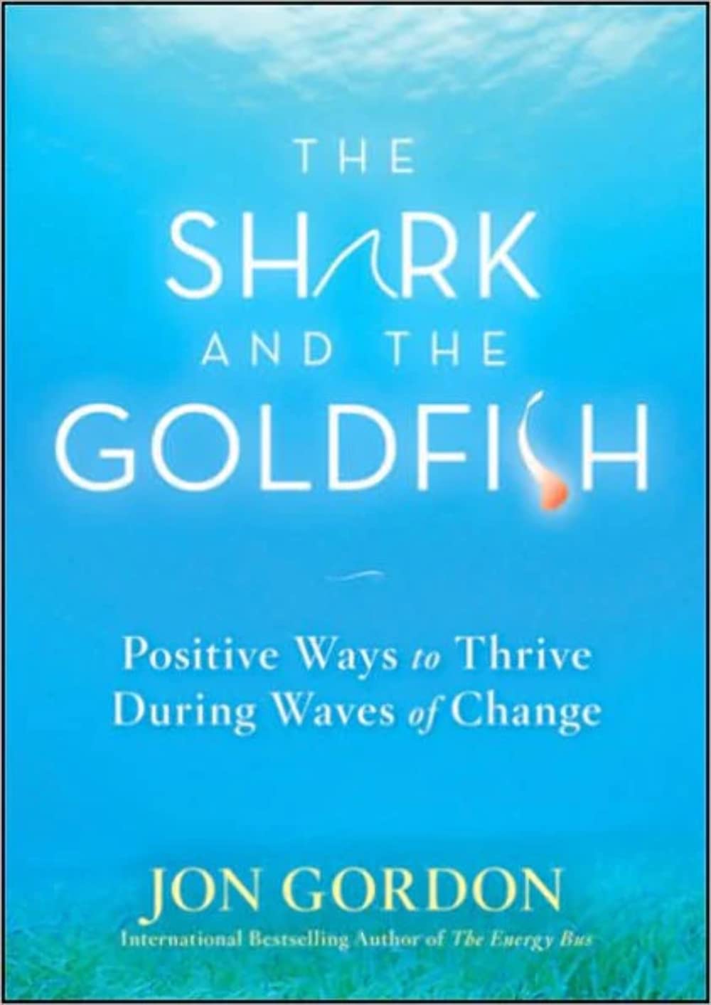 The Shark and the Goldfish: Positive Ways to Thrive During Waves of Change (Jon Gordon) The Happy Book Stack