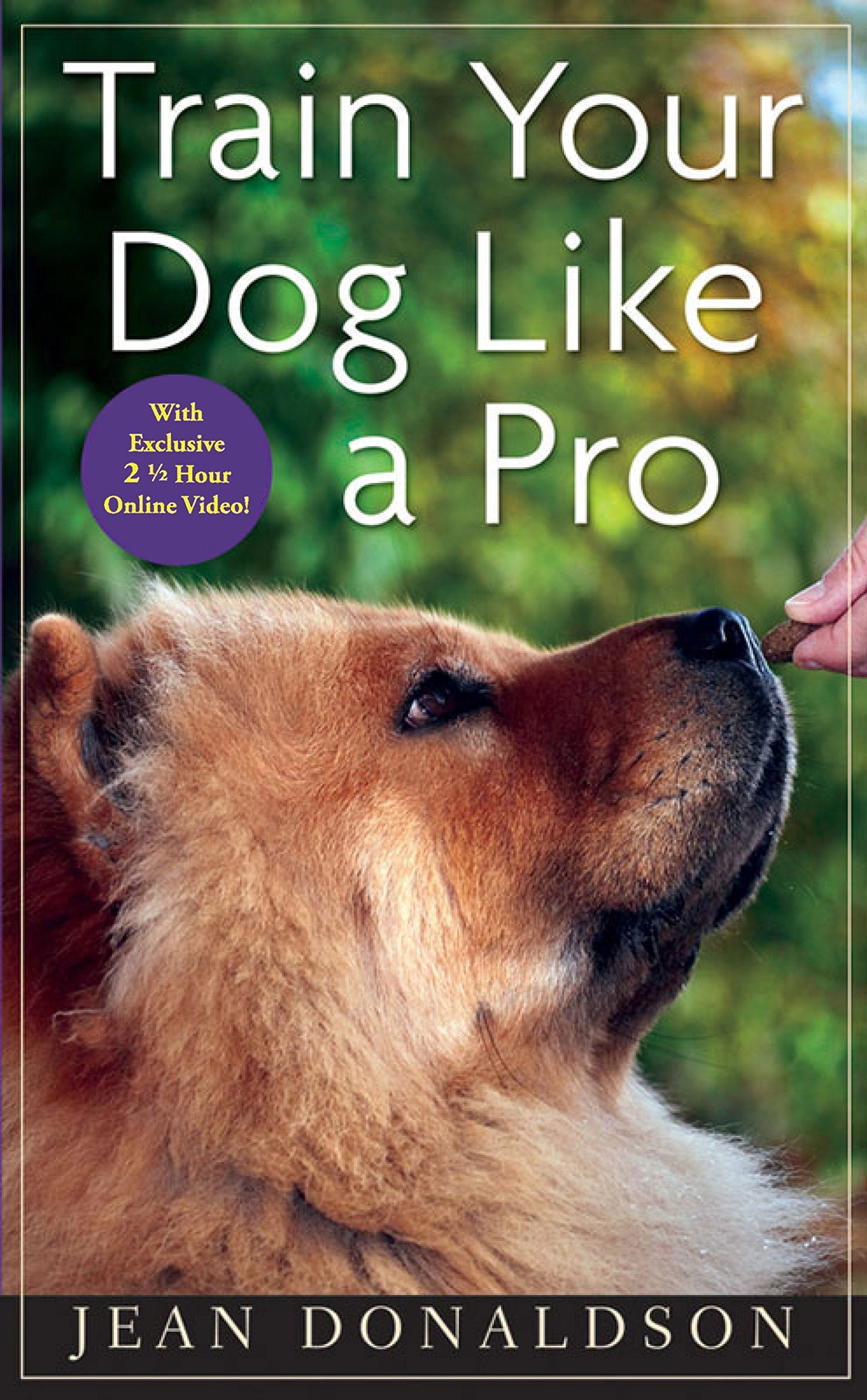 Train Your Dog Like a Pro The Happy Book Stack