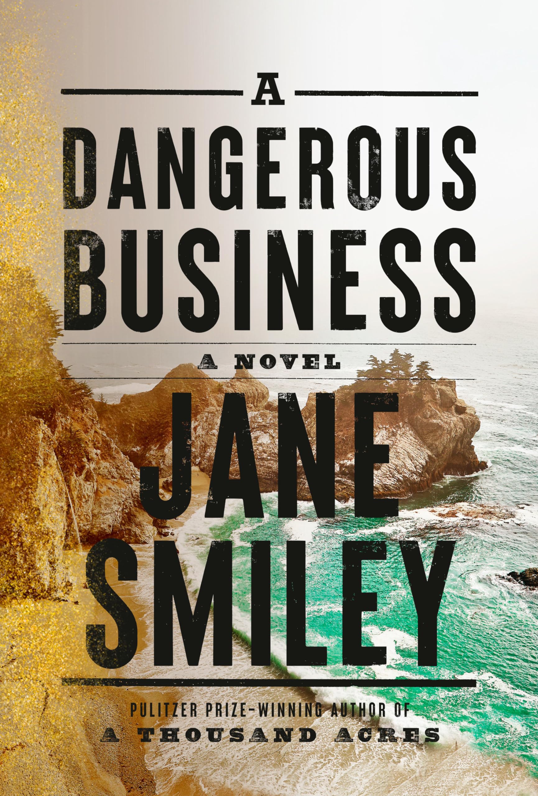 A Dangerous Business: A novel The Happy Book Stack